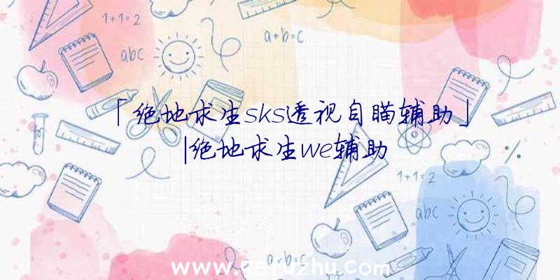 「绝地求生sks透视自瞄辅助」|绝地求生we辅助